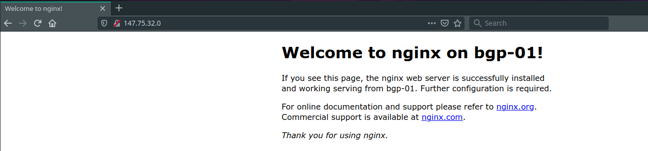 Anycast IP - bgp-01 nginx