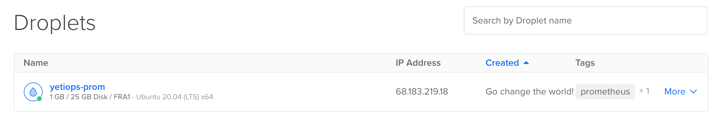 Digital Ocean Droplet in the Digital Ocean Console